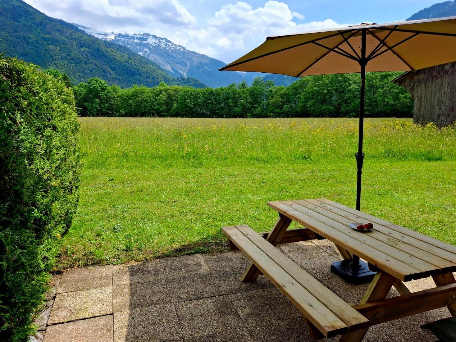 Appartement Renove T2, Vue Montagne Samoens Bagian luar foto